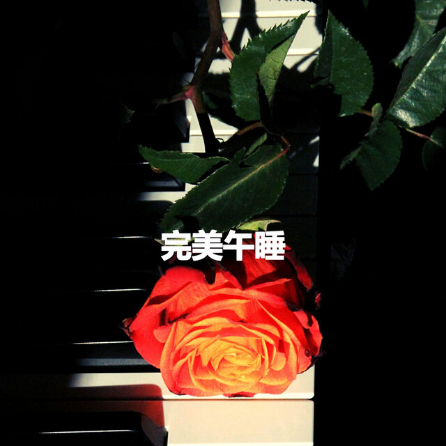 完美午睡
