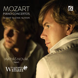 Piano Concerto No. 12 in A Major, K. 414: I. Allegro (arr. for Piano and String Quartet)