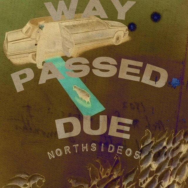 W.P.D (Old Files)