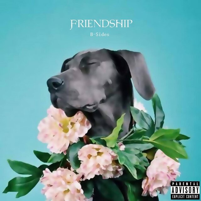 Friendship