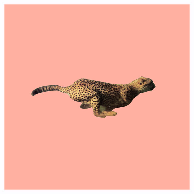 Perfidia