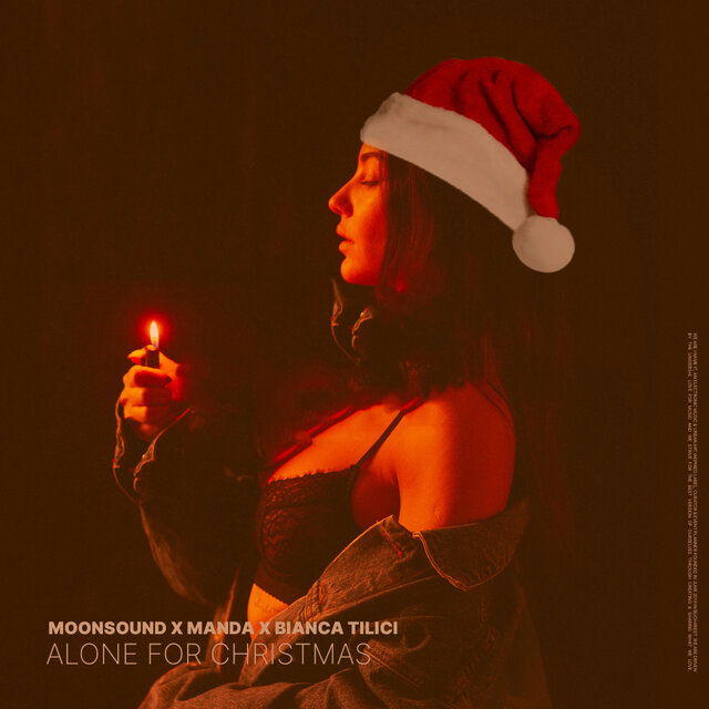 Alone For Christmas