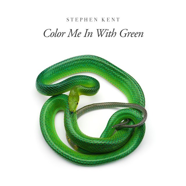 Color Me in With Green