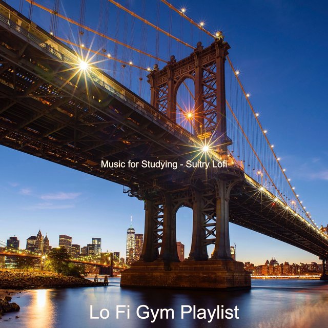 Music for Studying - Sultry Lofi