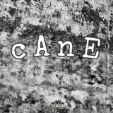 Cane