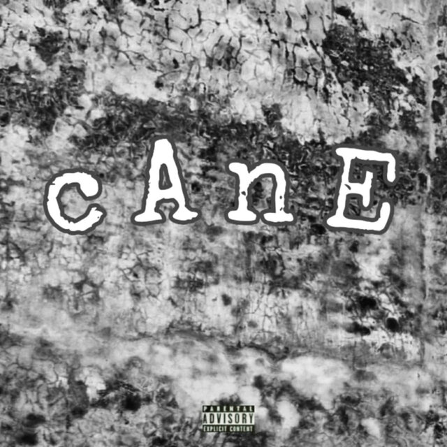 Cane
