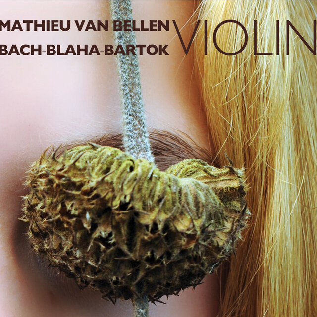 Bach, Blaha & Bartók: Violin Works