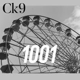 1001