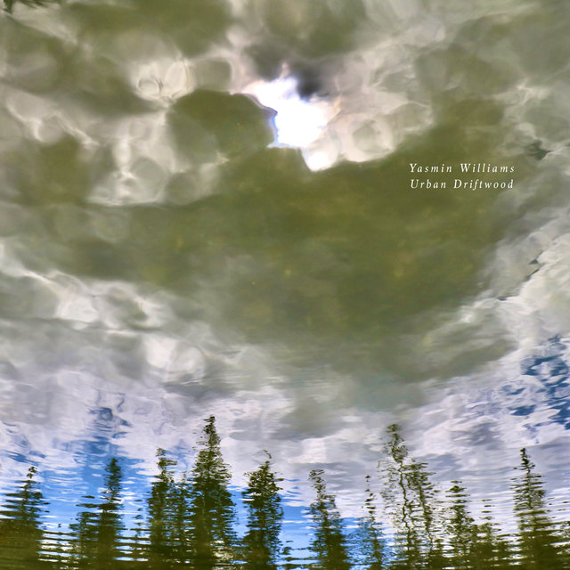 Cover art for album Urban Driftwood by Yasmin Williams