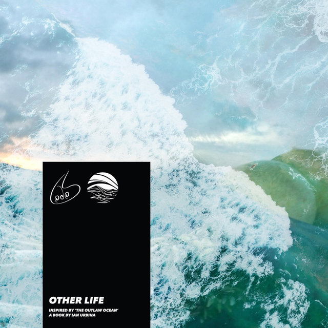 Other Life (Inspired by ‘The Outlaw Ocean’ a book by Ian Urbina)