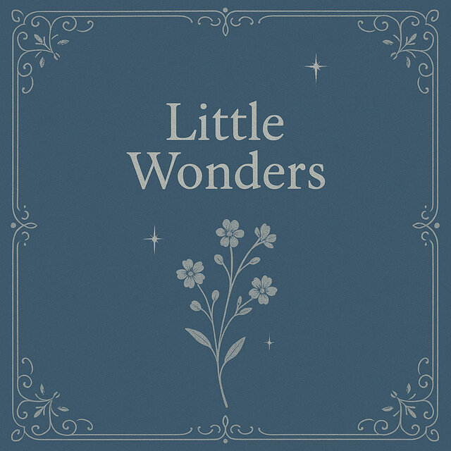 Little Wonders
