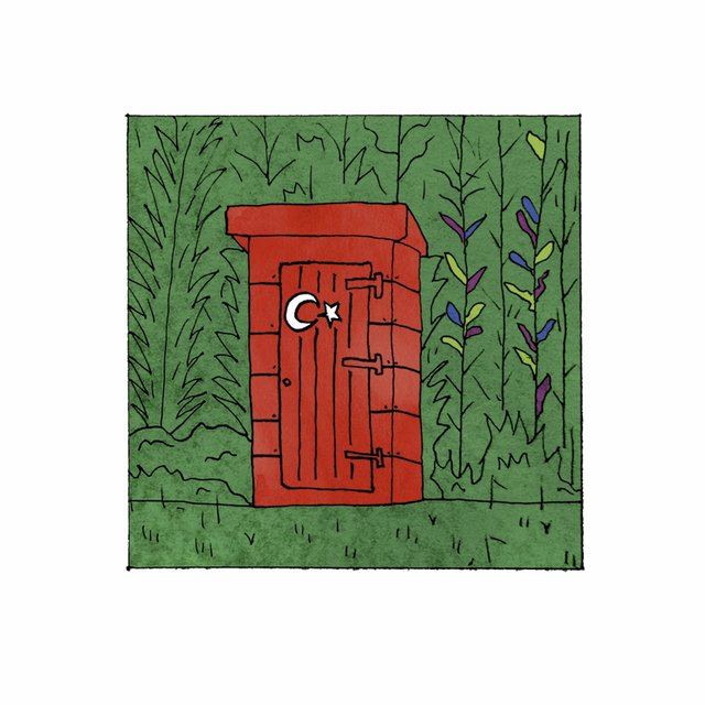 Turkish Outhouse
