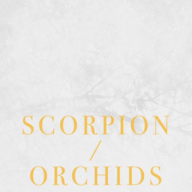 Scorpion/Orchids