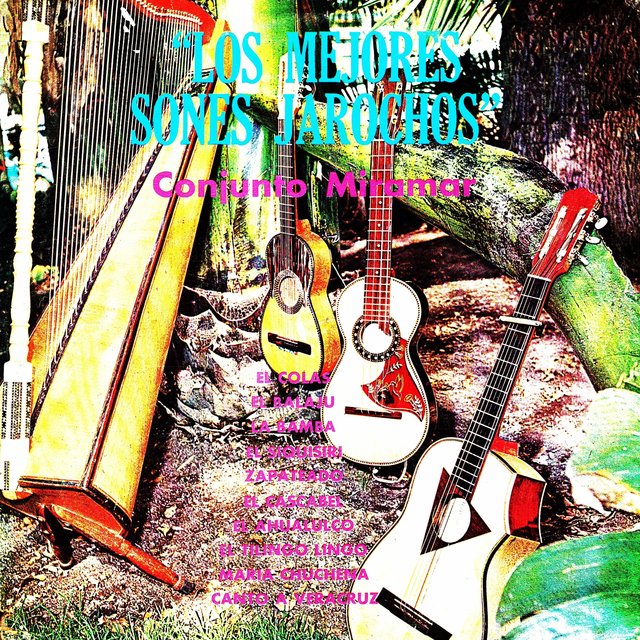 Los Mejores Sones Jarochos
