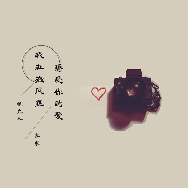 我在微风里感受你的爱