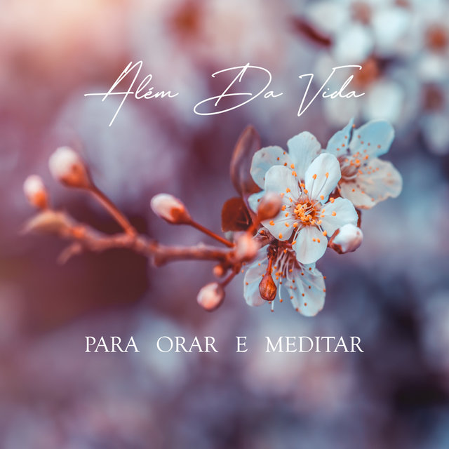 Além Da Vida - Para Orar & Meditar