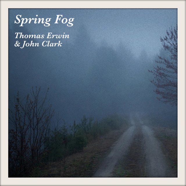 Spring Fog