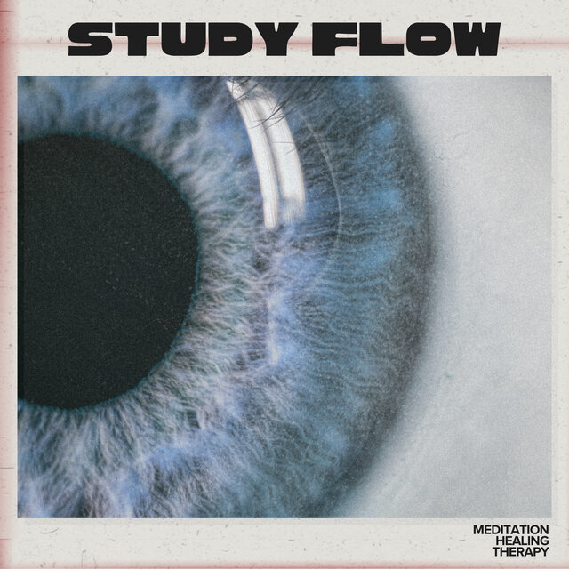 Study Flow