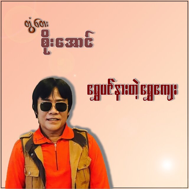 Shwe Pai Nar Ta Shwe Kye - Single