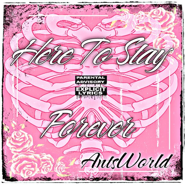 Here 2 Stay : The Continuance