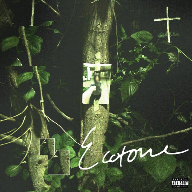 Ecotone