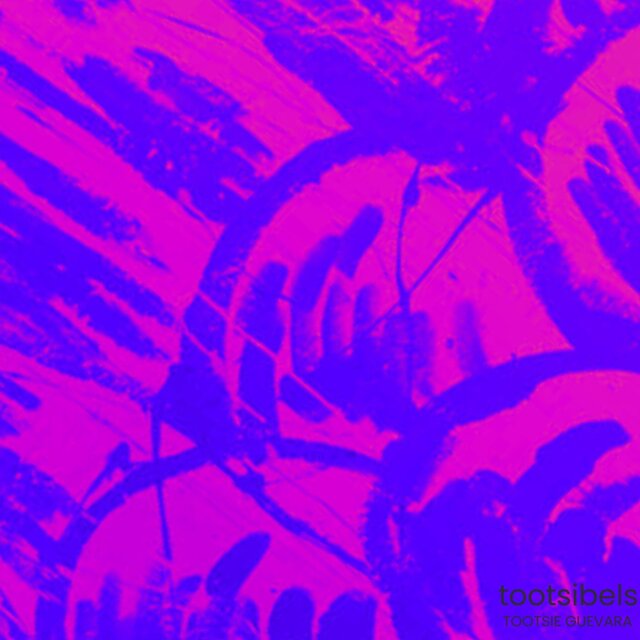 tootsibels