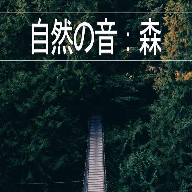 自然の音：森