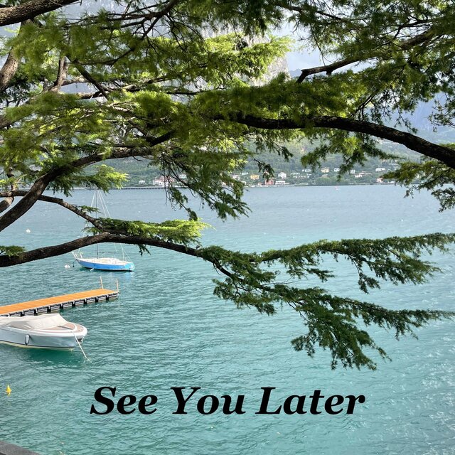 See You Later