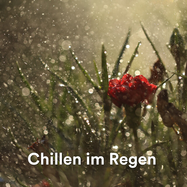 Chillen im Regen