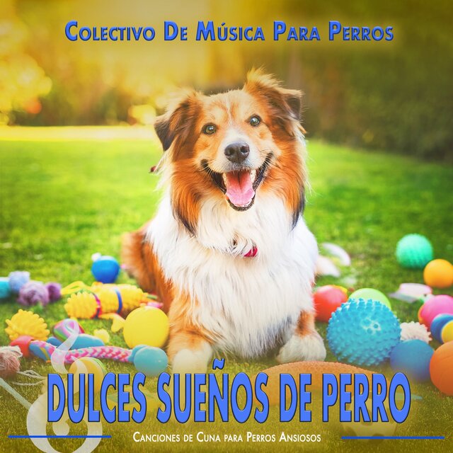 Dulces Sueños de Perro: Canciones de Cuna para Perros Ansiosos
