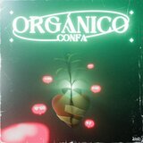 ORGÁNICO