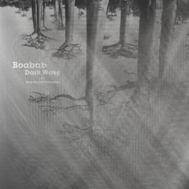 Baobab