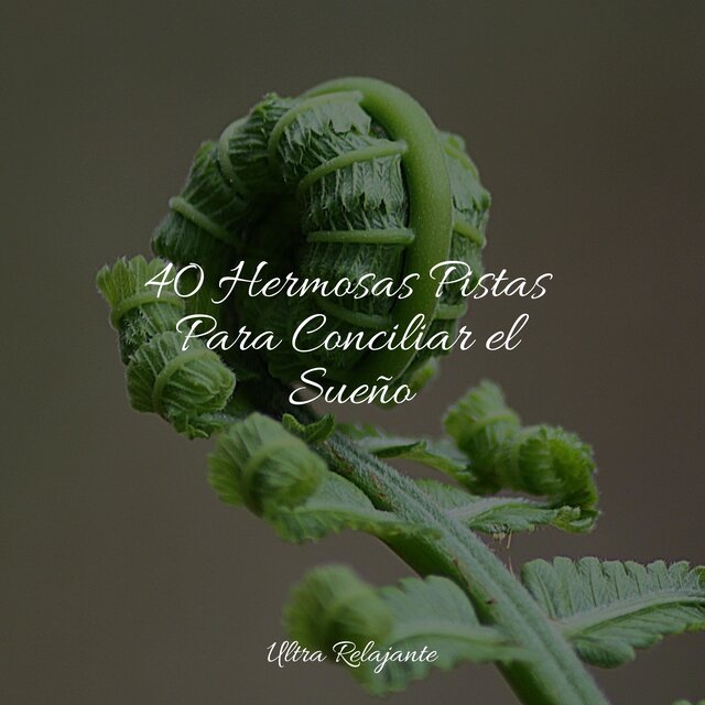 40 Hermosas Pistas Para Conciliar el Sueño