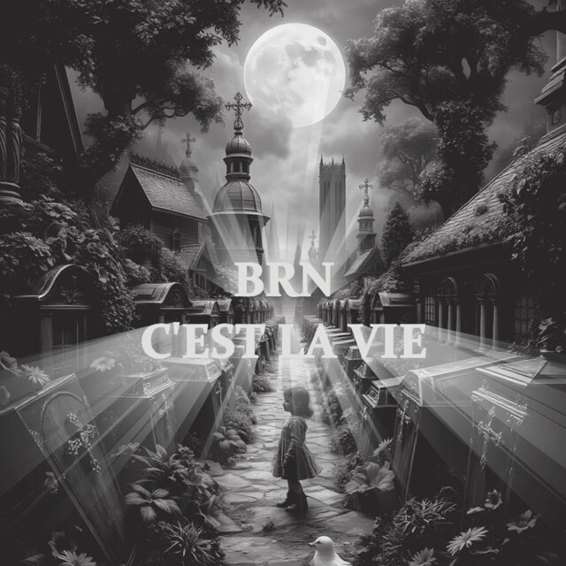 BRN C'EST LA VIE