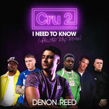 I need to know (feat. Tom Zanetti, Dizzee Rascal, KAV & MIST)