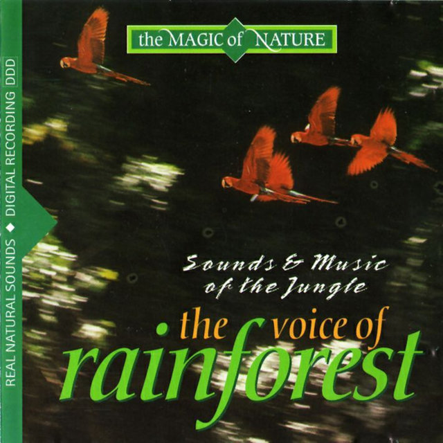 The Voice of Rainforest