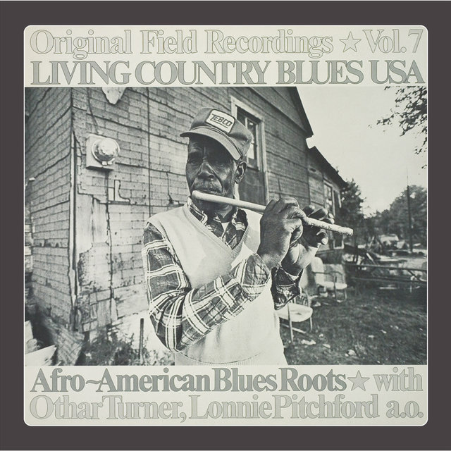Living Country Blues USA