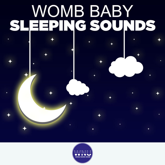 Womb Baby Sleeping Sounds