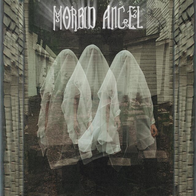 M O R B I D