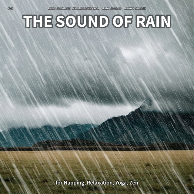 #01 The Sound of Rain for Napping, Relaxation, Yoga, Zen
