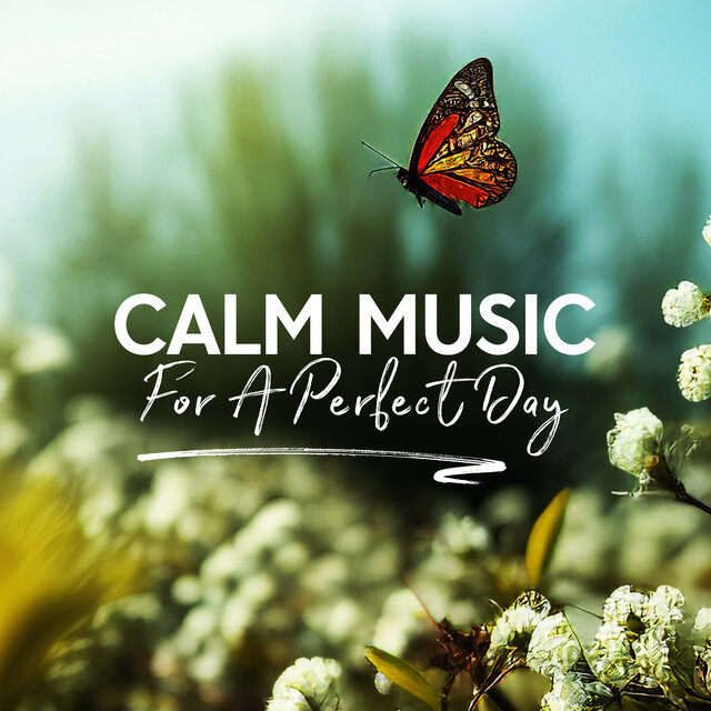 Calm Music For A Perfect Day