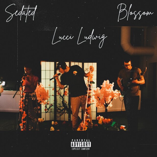 Sedated (feat. Samurae & Faded & Jaded) [Blossom Sessions Edition]