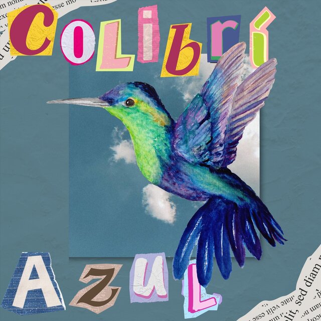 Colibrí Azul