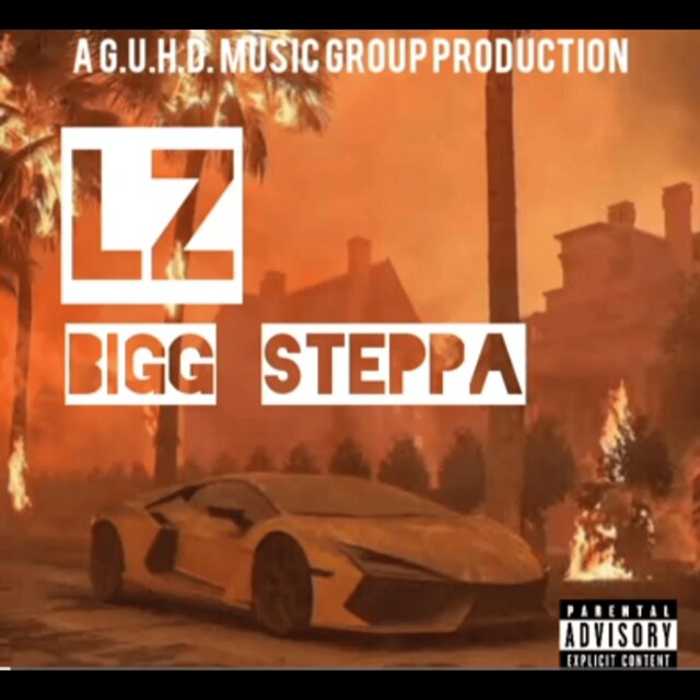 BIGG STEPPA