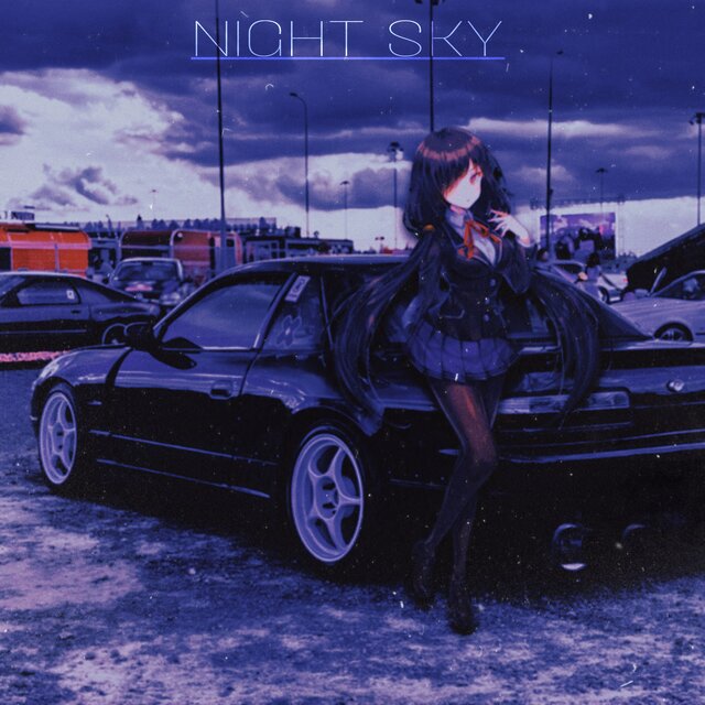 NIGHT SKY