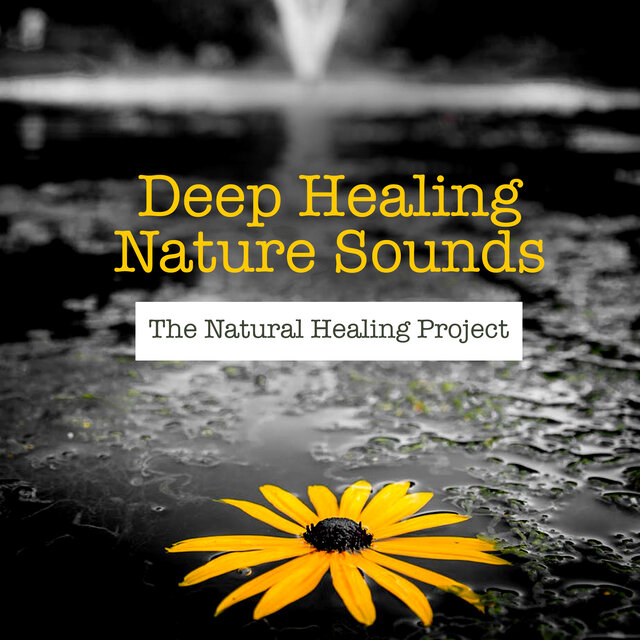 Deep Healing Nature Sounds