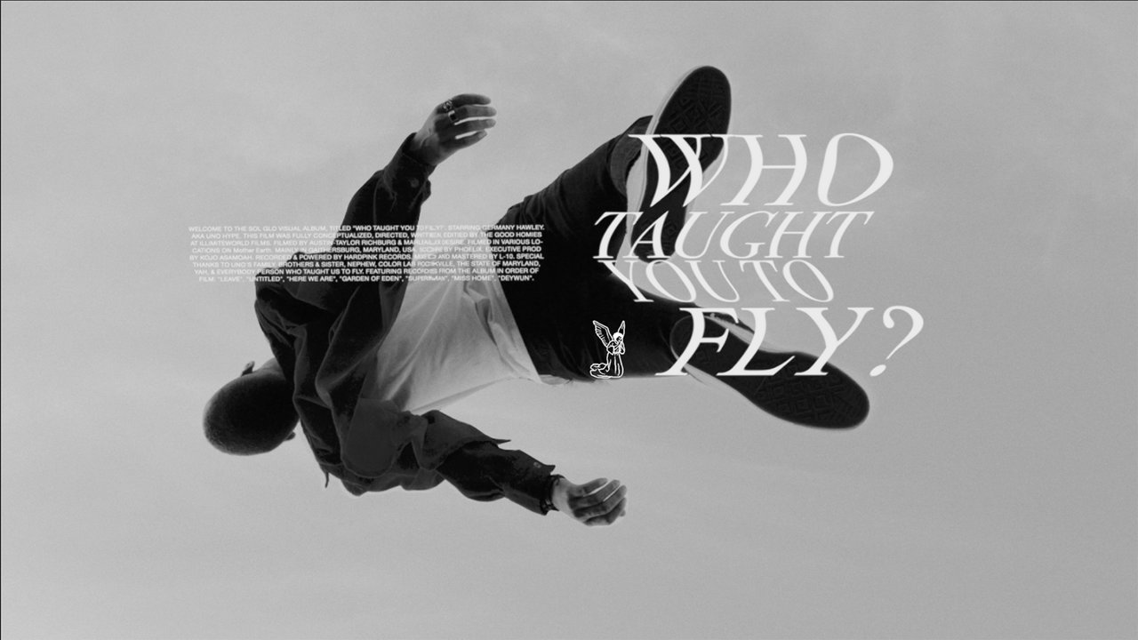 Who Taught You To Fly? (SOL GLO)