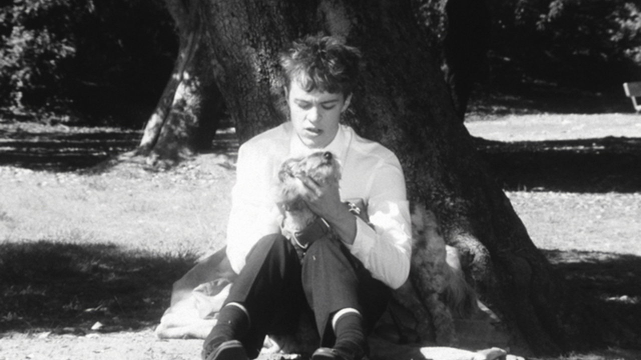 Days Like Lost Dogs