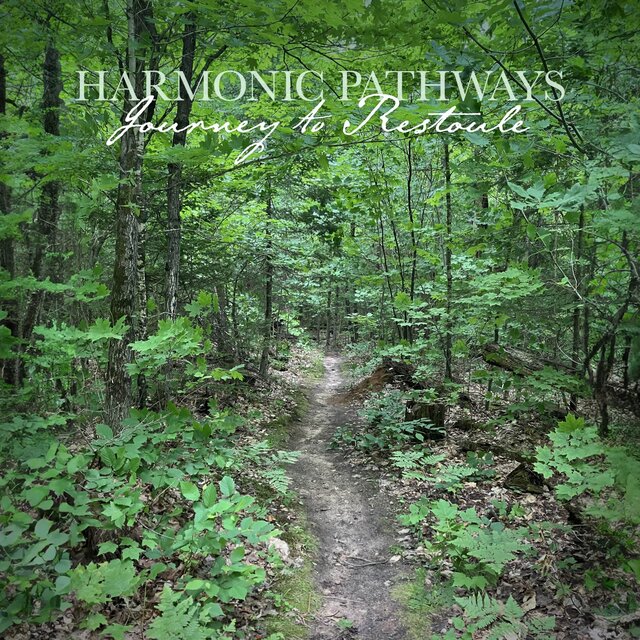 Journey to Restoule