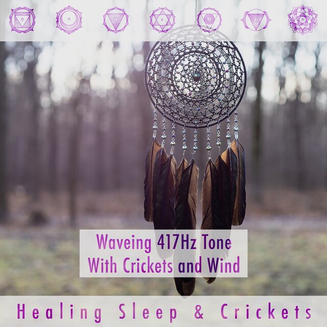 Waveing 417hz Tone with Crickets and Wind